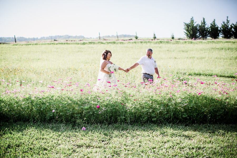 Walking in the wild flowers at these 2017 favorite weddings by Knoxville Wedding Photographer, Amanda May Photos.