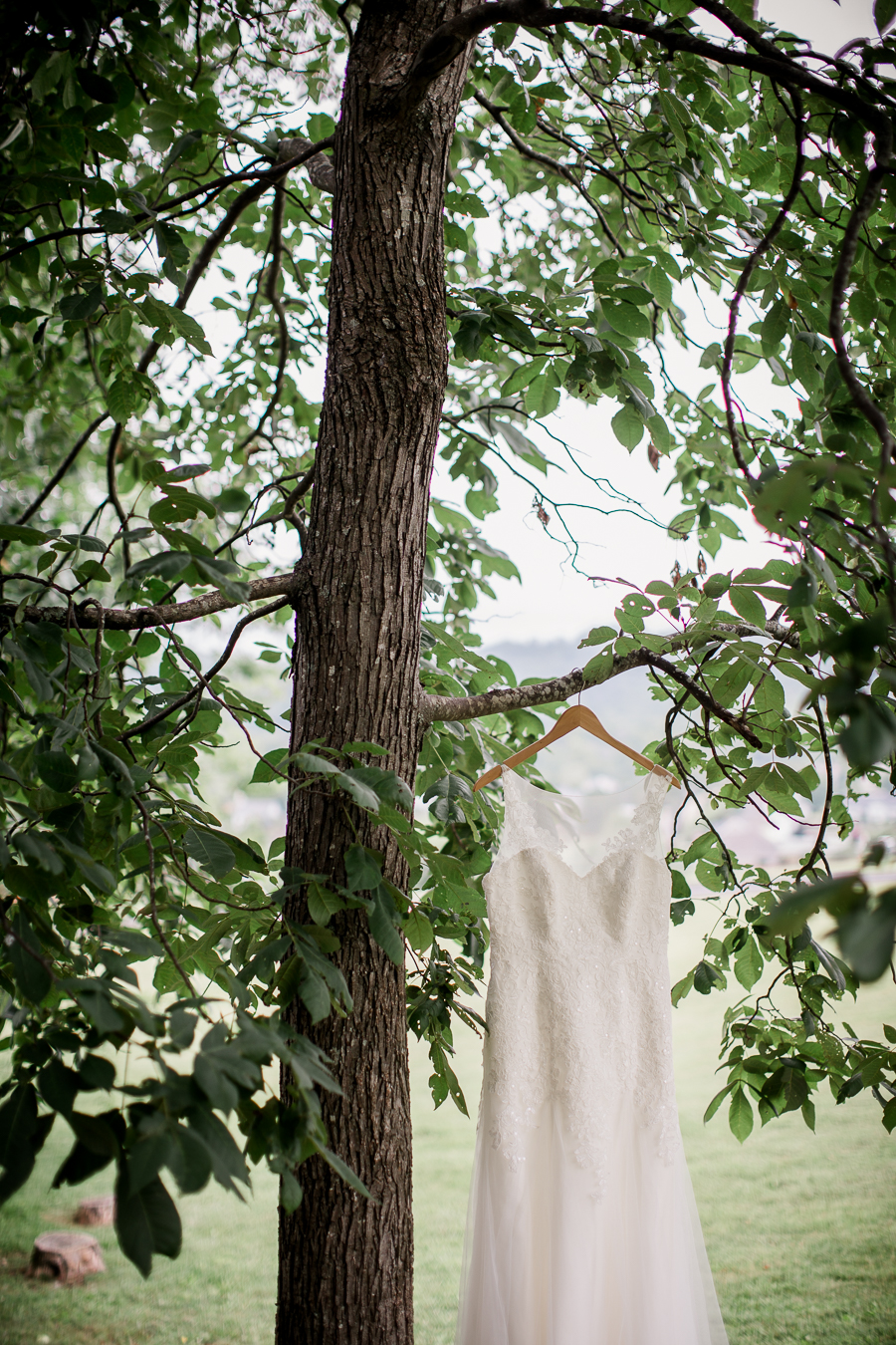 Wedding dress hanging on branch at these 2017 favorite weddings by Knoxville Wedding Photographer, Amanda May Photos.