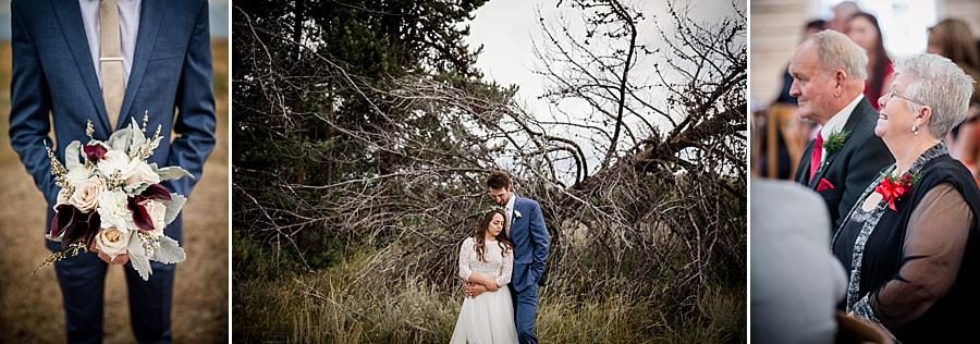 Tree fallen down at these 2017 favorite weddings by Knoxville Wedding Photographer, Amanda May Photos.