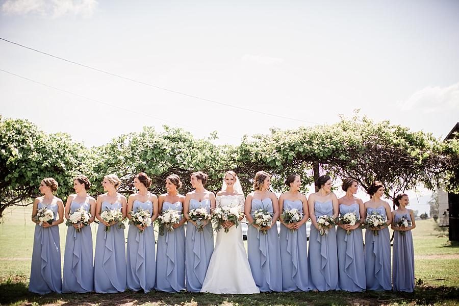 Bridesmaids under vines at these 2017 favorite weddings by Knoxville Wedding Photographer, Amanda May Photos.