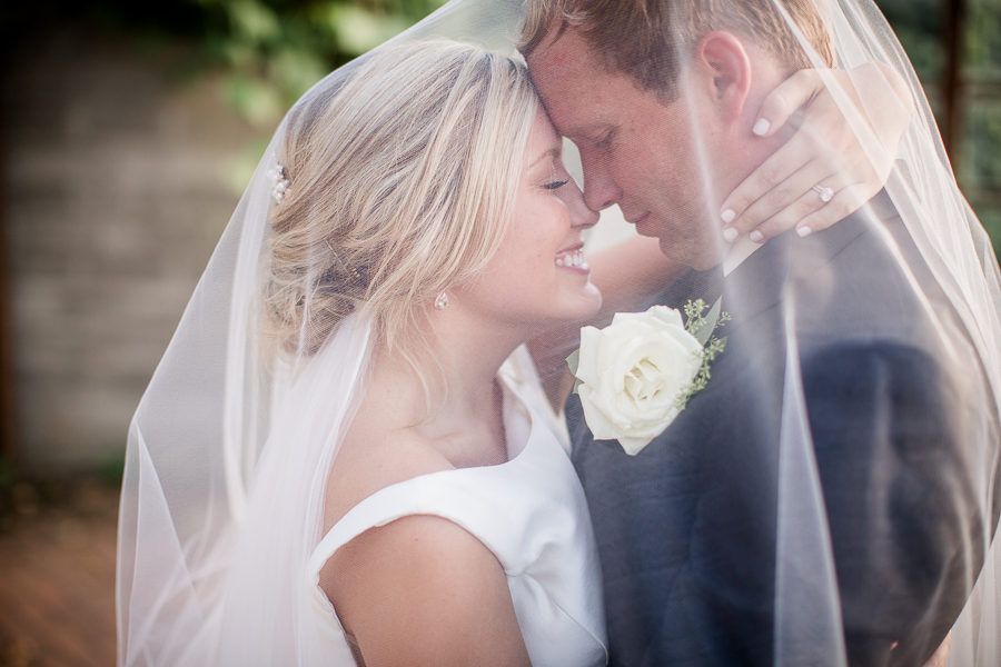 Snuggles under the veil at these 2017 favorite weddings by Knoxville Wedding Photographer, Amanda May Photos.