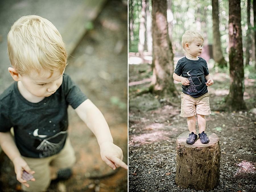 Tree stump at this Family by Knoxville Wedding Photographer, Amanda May Photos.