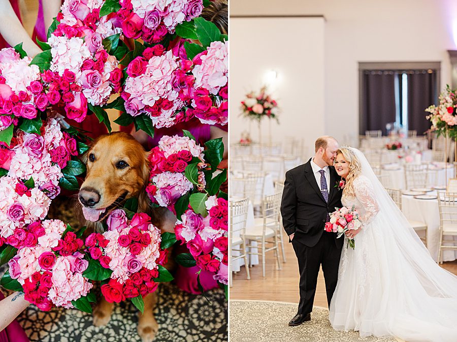 dog surrounded by bouquets