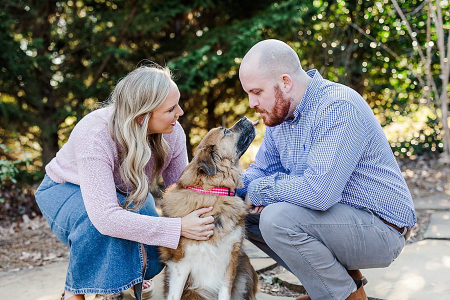 associate photographer engagement session