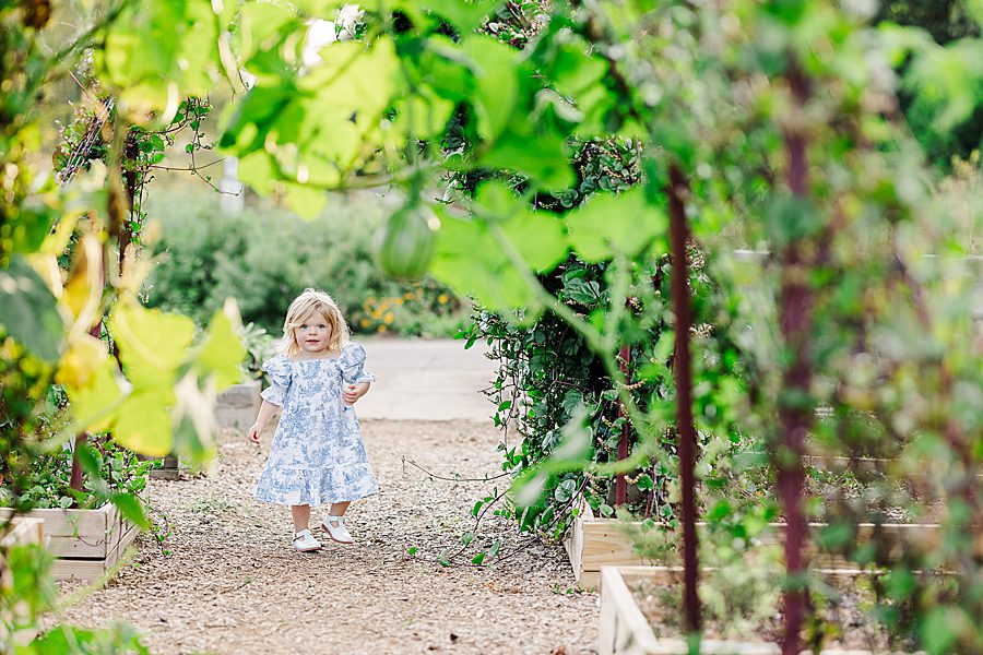toddler at garden maternity session
