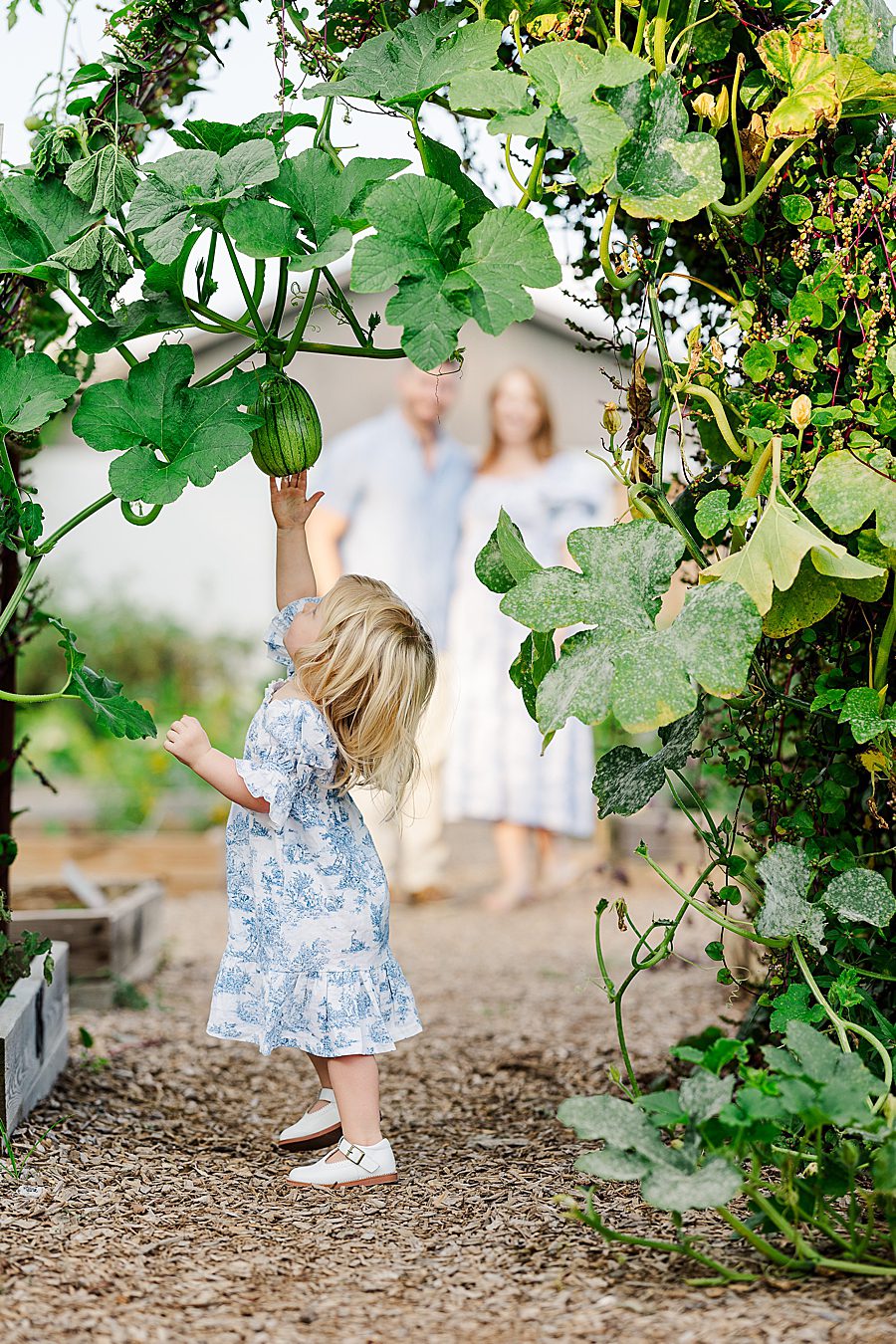 toddler touching hanging melon