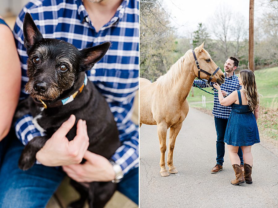 man holding dog at engagement session with a horse