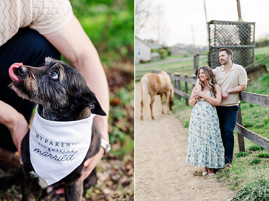 dog licking nose with personalized bandana on neck 