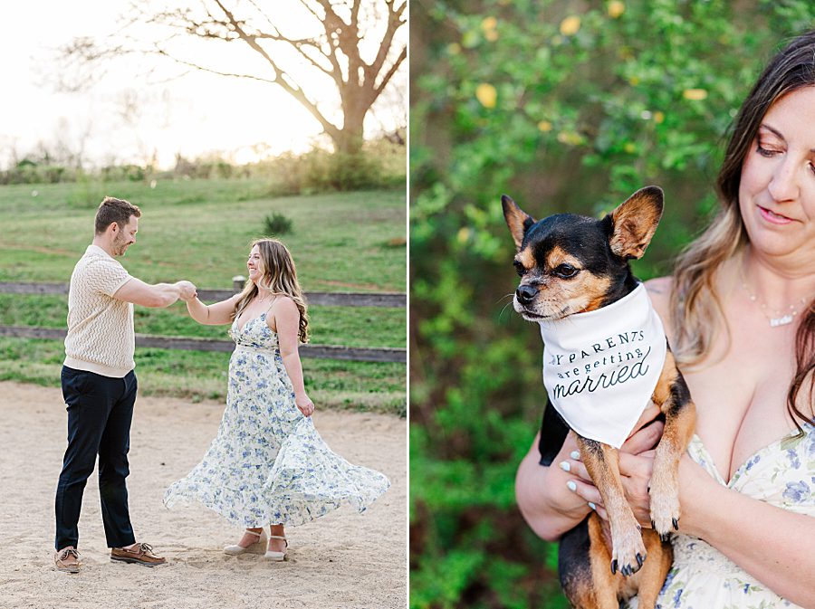 dog with personalized bandana on neck