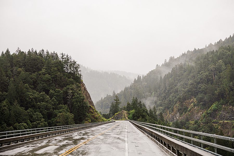road to Redwood National Park Wedding