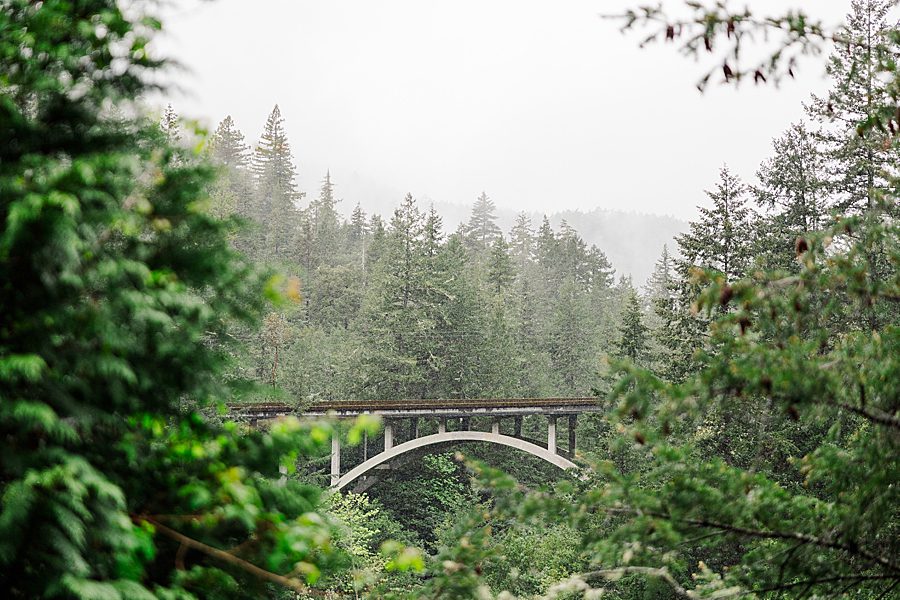 bridge at Redwood National Park Wedding