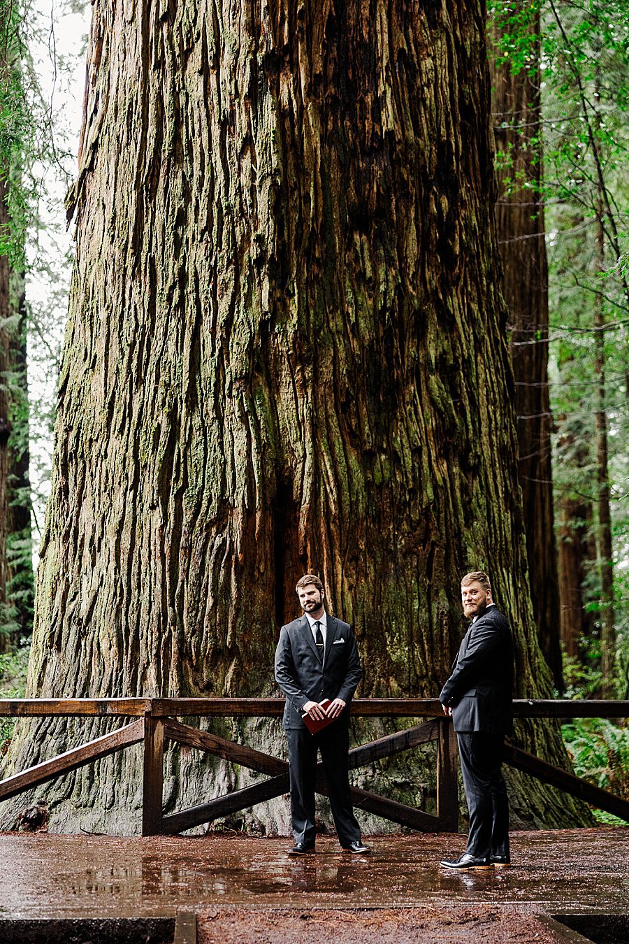 getting married at Redwood National Park Wedding