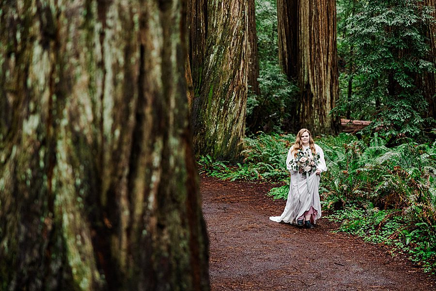 bride walking down aisle to Redwood National Park Wedding