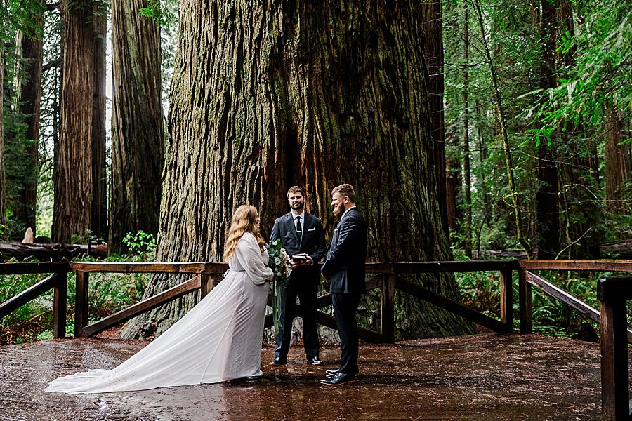 exchanging vows at Redwood National Park Wedding