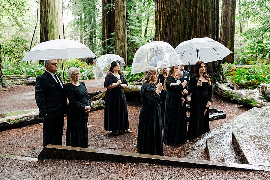 guests at Redwood National Park Wedding