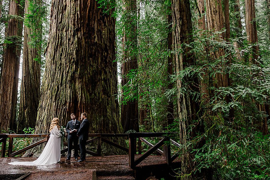 eloping at Redwood National Park Wedding