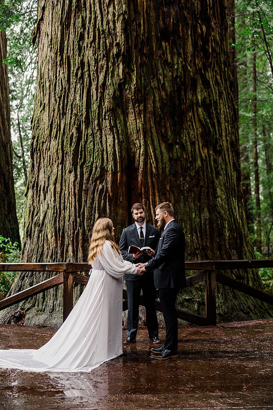 vow exchange at Redwood National Park Wedding