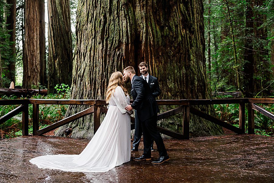 you may kiss the bride at Redwood National Park Wedding