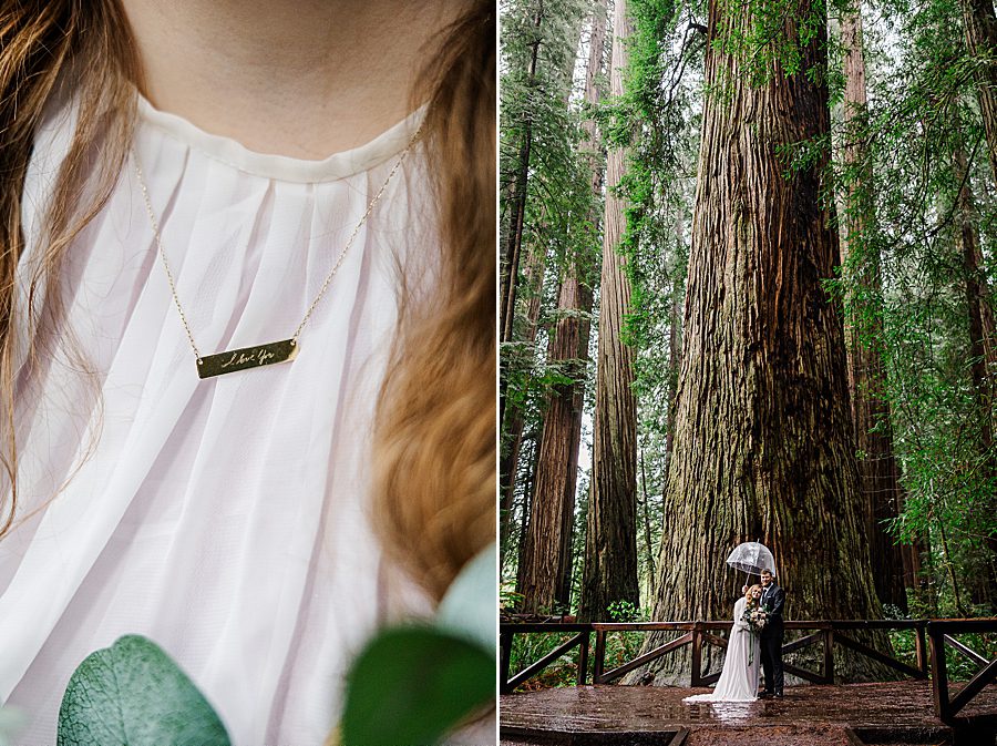 bride's necklace at Redwood National Park Wedding