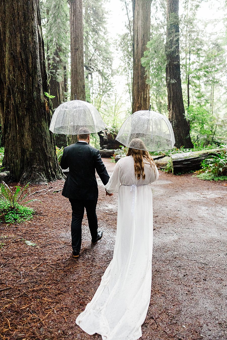 bride and groom under umbrellas at Redwood National Park Wedding