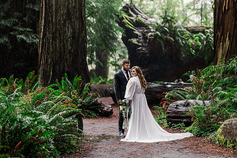 bride and groom portrait at Redwood National Park Wedding