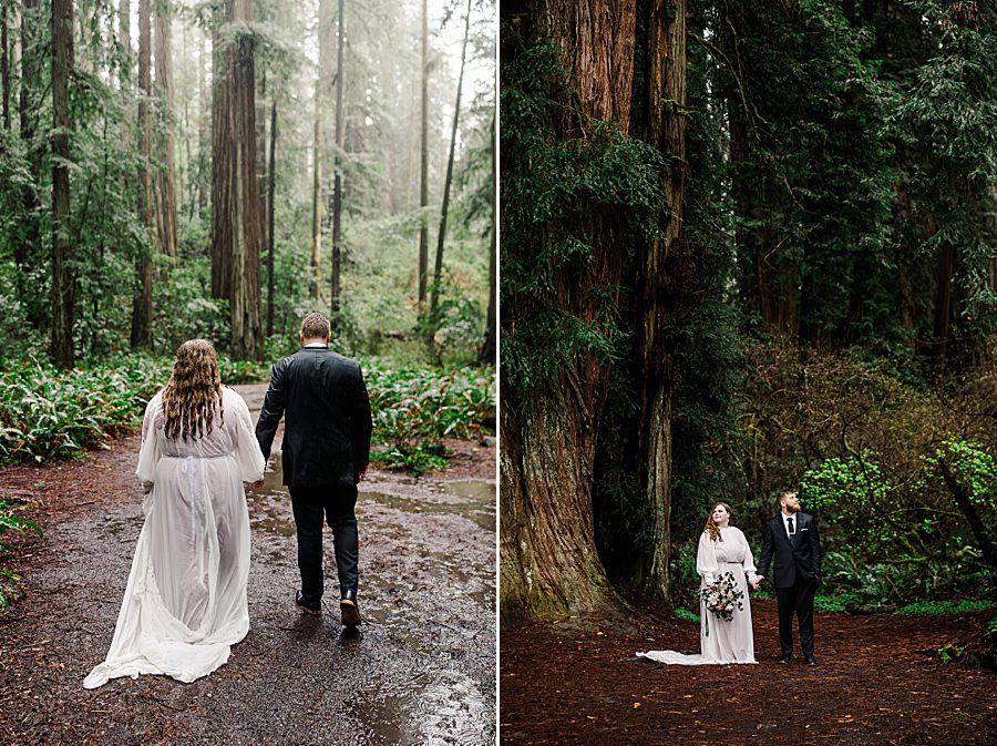 bride and groom portraits in national park