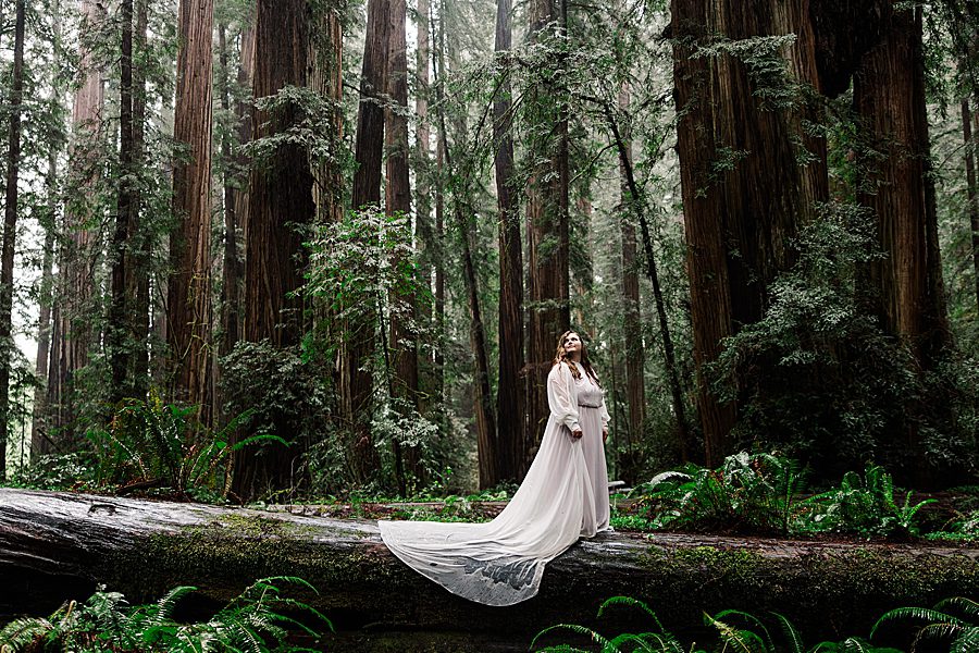 bridal portrait on fallen tree