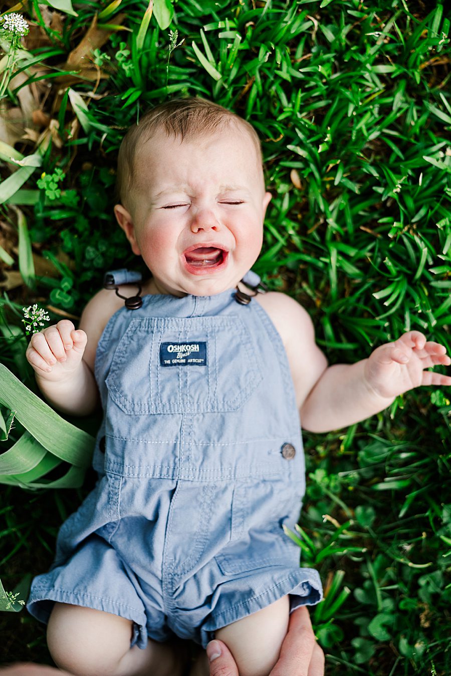 crying baby on grass at spring 6 month session