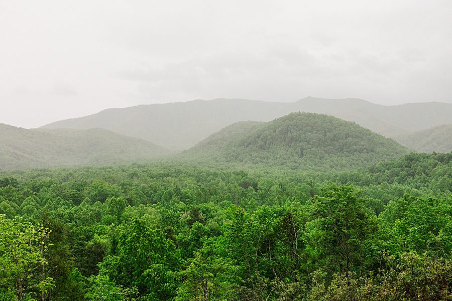 view from trailhead venues wedding property