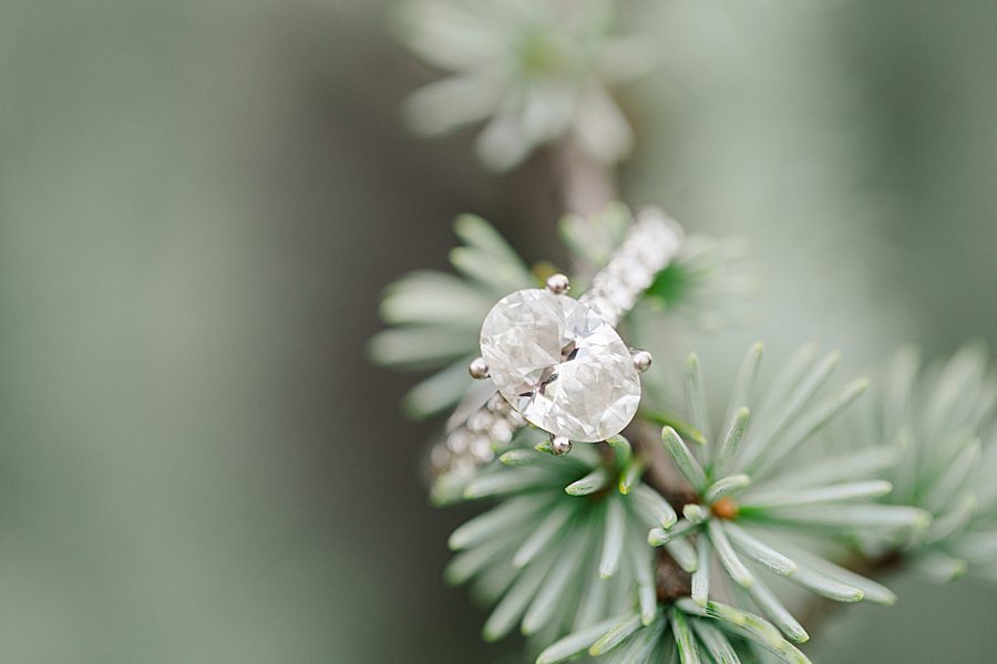 diamond ring at garden engagement session