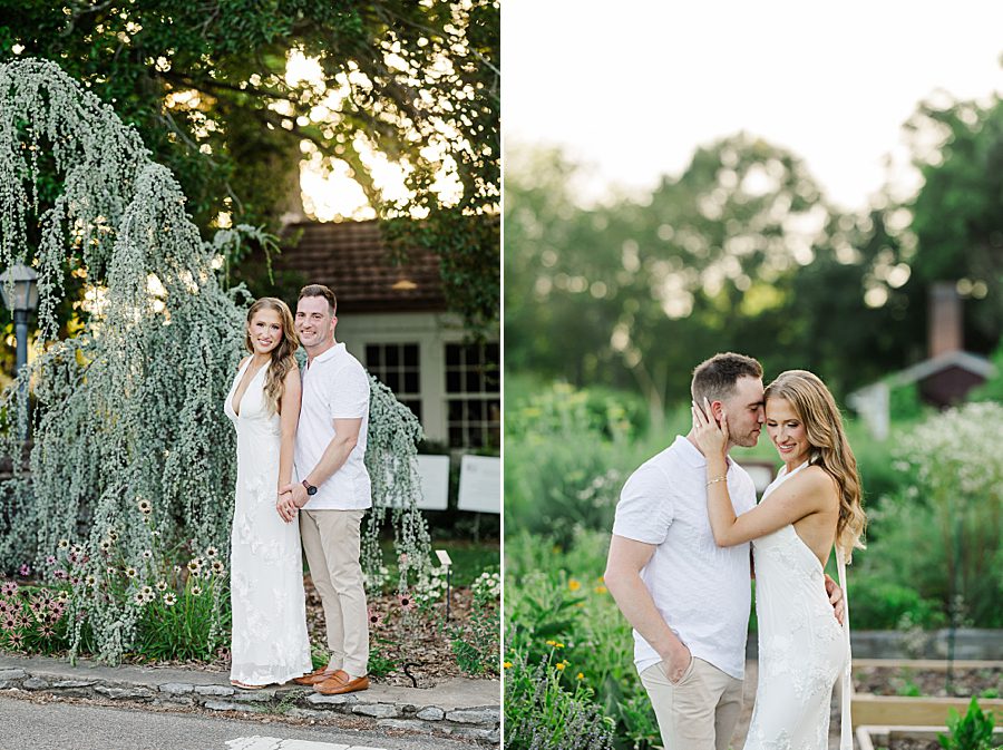 golden hour at knox botanical
