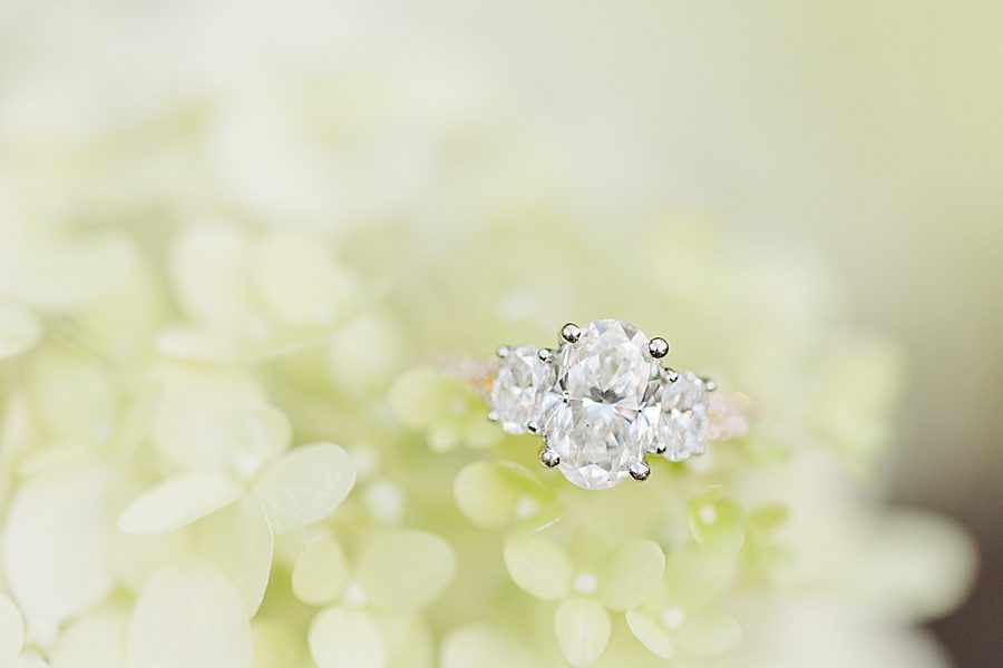 unique diamond ring on hydrangea bloom at maple grove engagement session