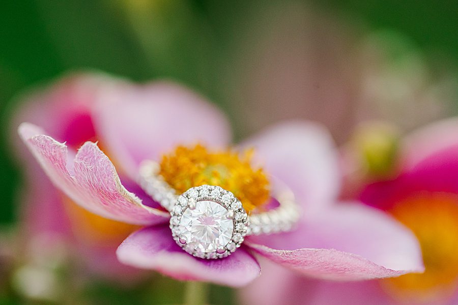 engagement ring sitting on flower at horse farm engagement session
