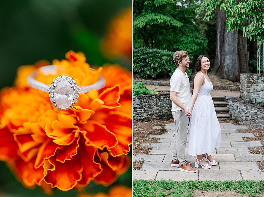ring on orange zinnia