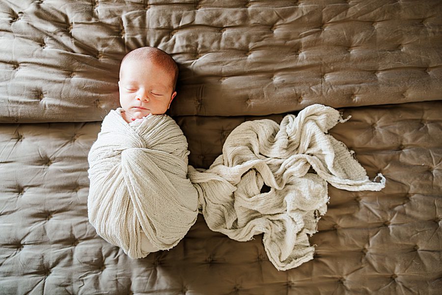 swaddled baby boy at powell home newborn session