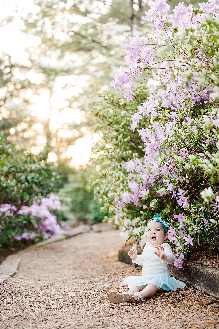 spring blooms at 9 month session
