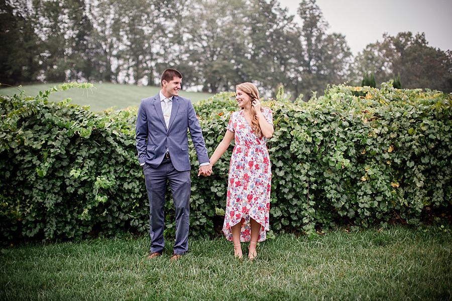 Holding hands looking at each other in the vineyard at this castleton farms engagement session by Knoxville Wedding Photographer, Amanda May Photos.