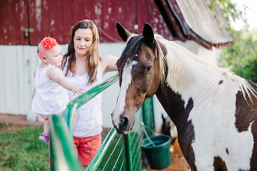 horse at backyard family session