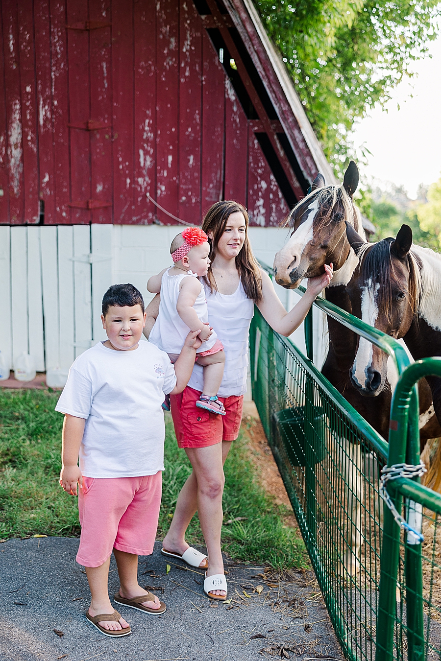 family petting horses