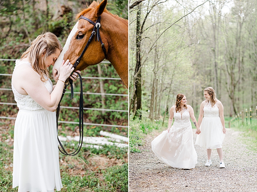 bride and horse at backyard wedding