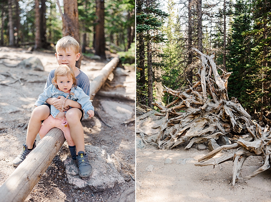 Flipped over tree roots at the Nymph Lake in the Rocky Mountain National Park by Knoxville Wedding Photographer, Amanda May Photos.