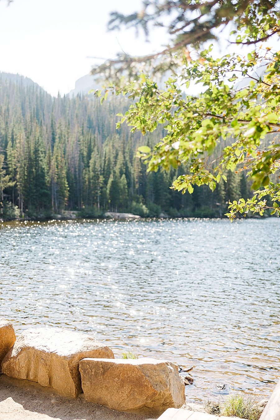 Sunlight pouring in at Bear Lake in the Rocky Mountain National Park by Knoxville Wedding Photographer, Amanda May Photos.