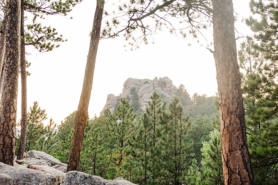 View of the rock mountain at Mount Rushmore by Knoxville Wedding Photographer, Amanda May Photos.