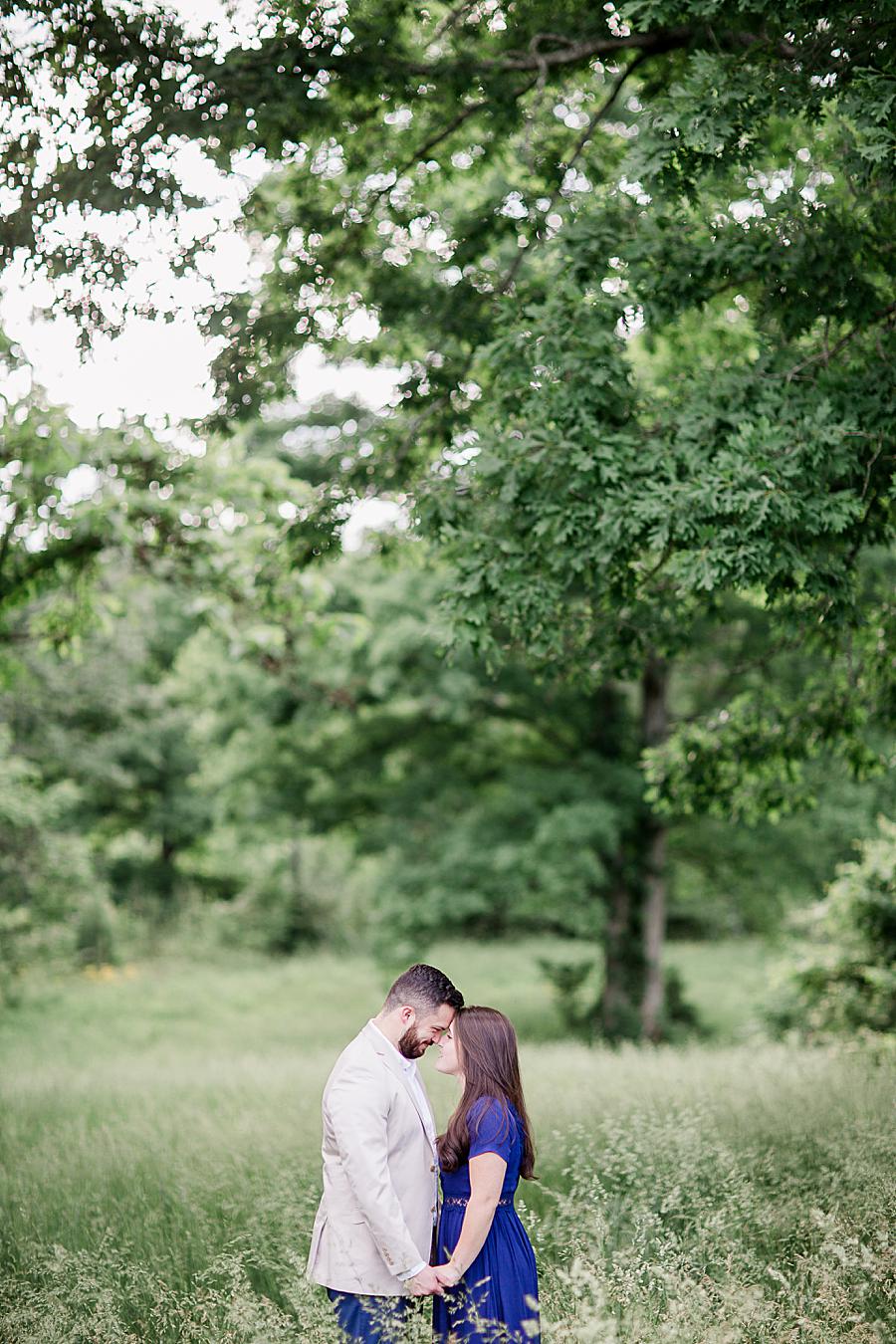 Foreheads together at this Castleton by Knoxville Wedding Photographer, Amanda May Photos.