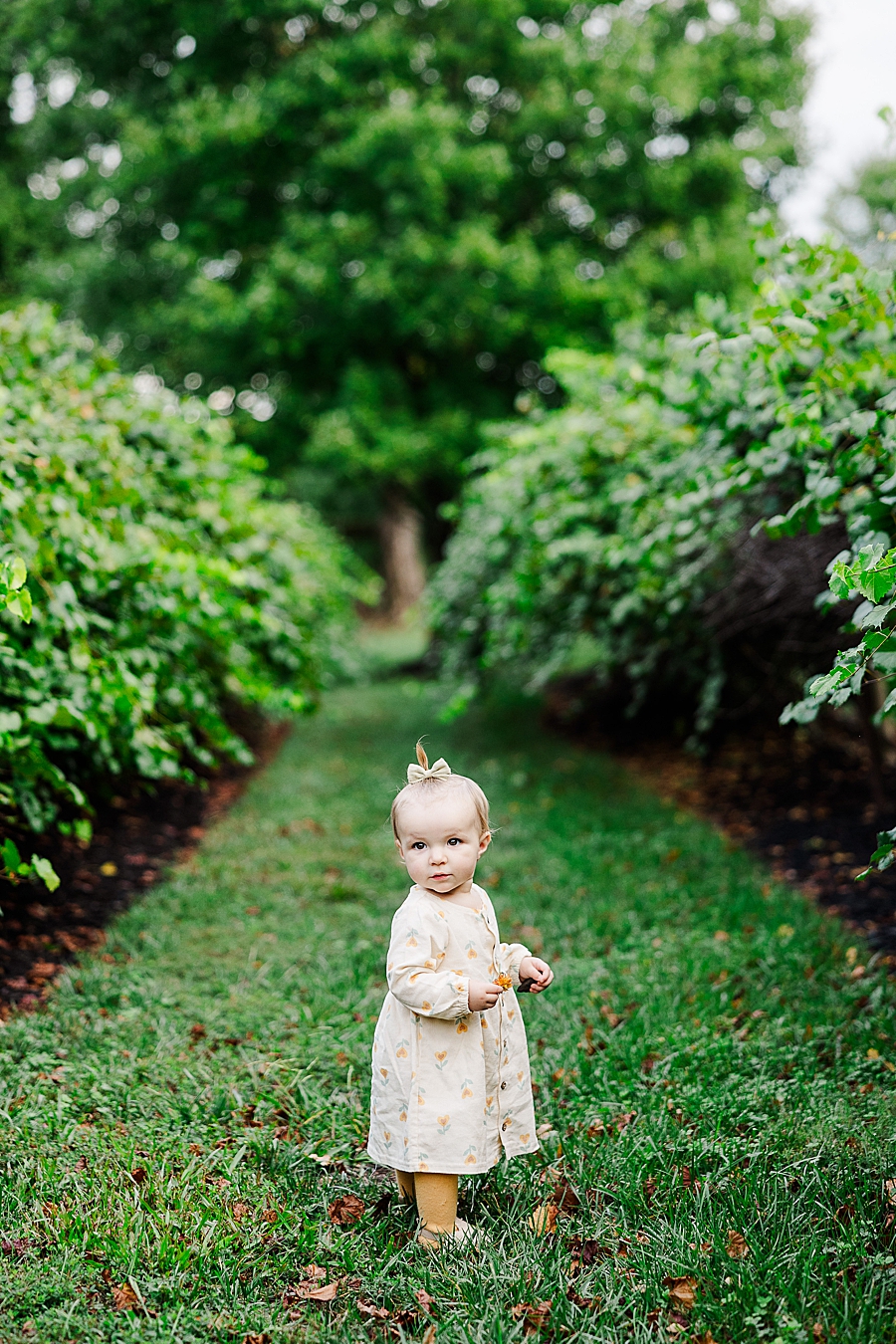 little girl in castleton vineyard