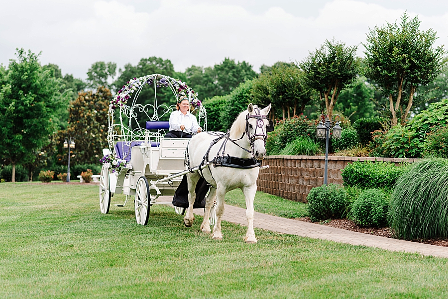 horse drawn carriage at cinderella wedding