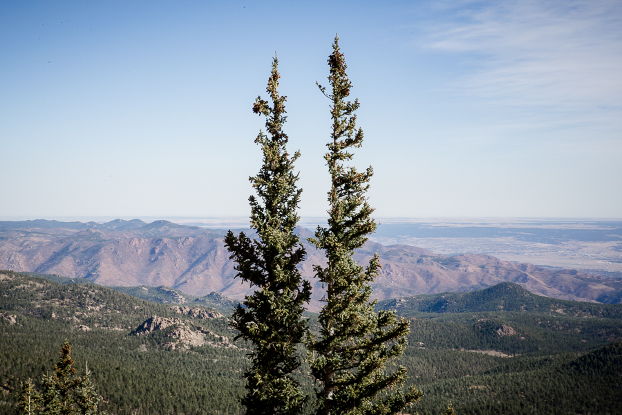 Two trees sticking up on Pikes Peak in Colorado Springs by Knoxville Wedding Photographer, Amanda May Photos.