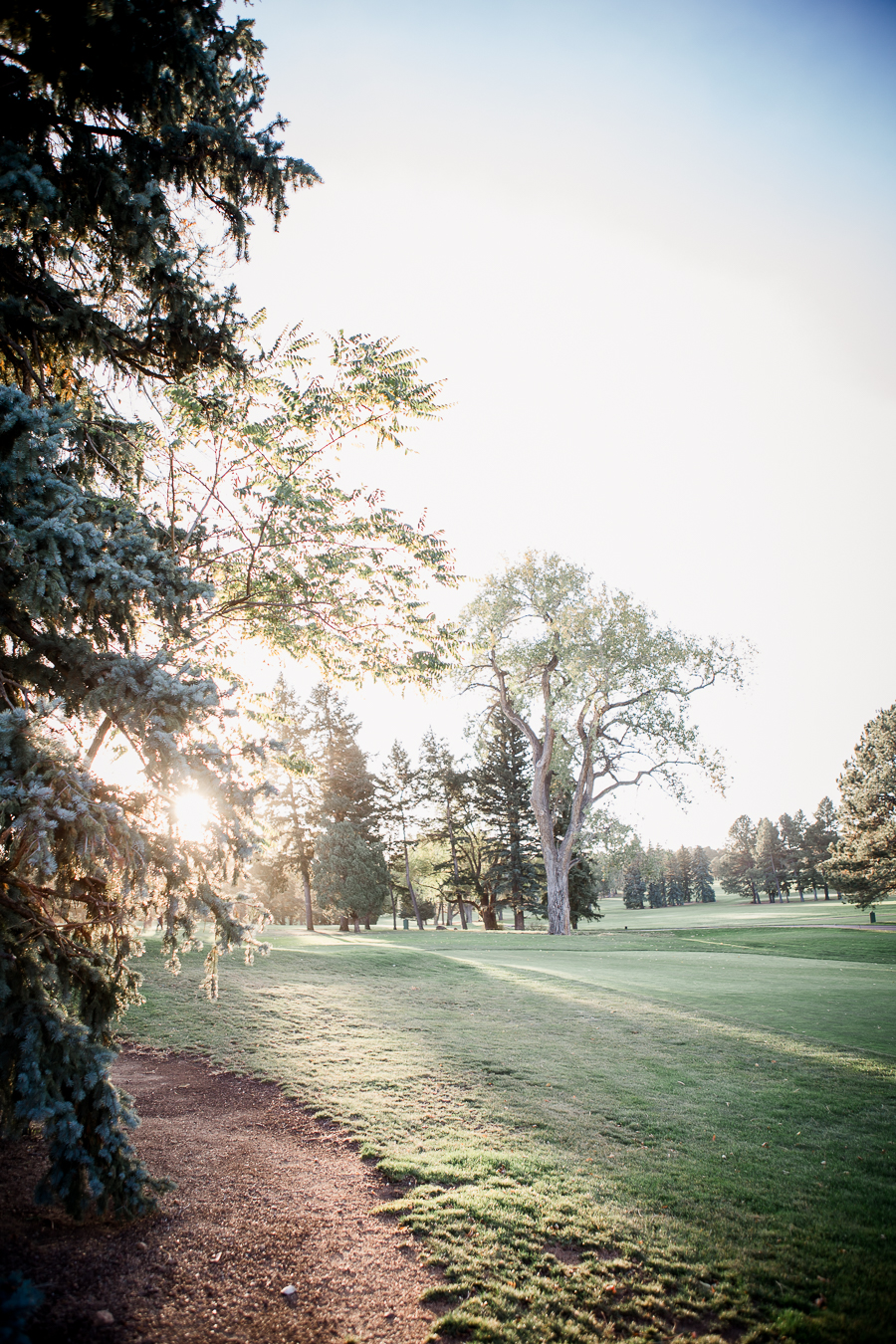 Sun on the golf course in Colorado Springs by Knoxville Wedding Photographer, Amanda May Photos.