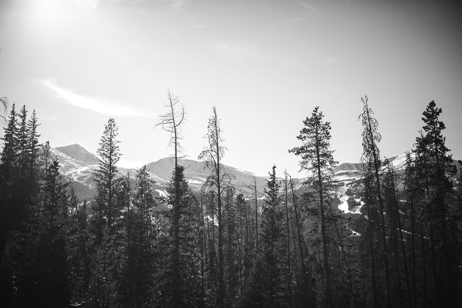 Tree and mountain view in Breckenridge by Knoxville Wedding Photographer, Amanda May Photos.