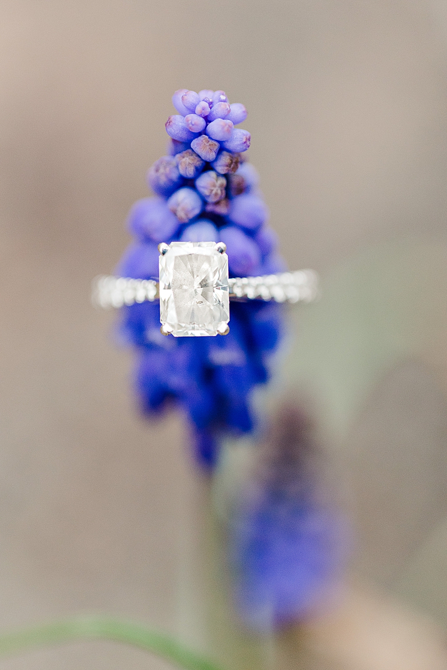 engagement ring on purple flower